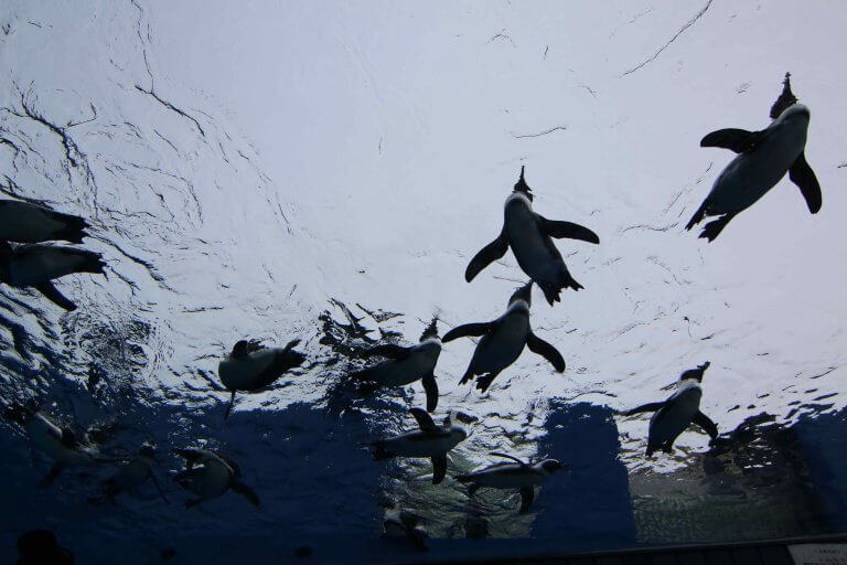 不只看夜景 走訪首都圈來一趟高空體驗