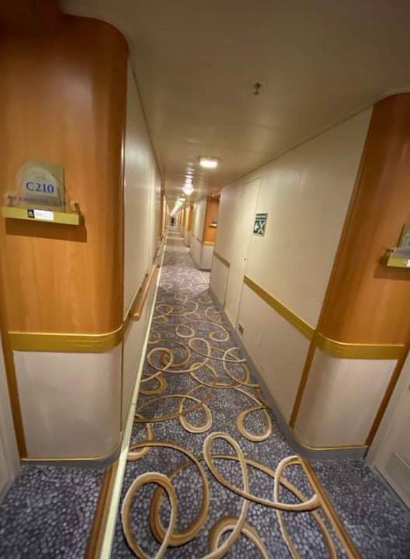 公主號新增41例持續隔離 日派自衛隊支援