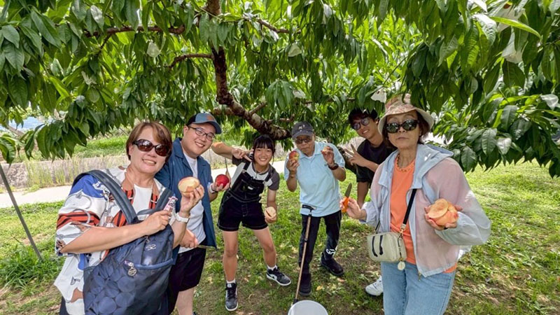 會員們水蜜桃大豐收