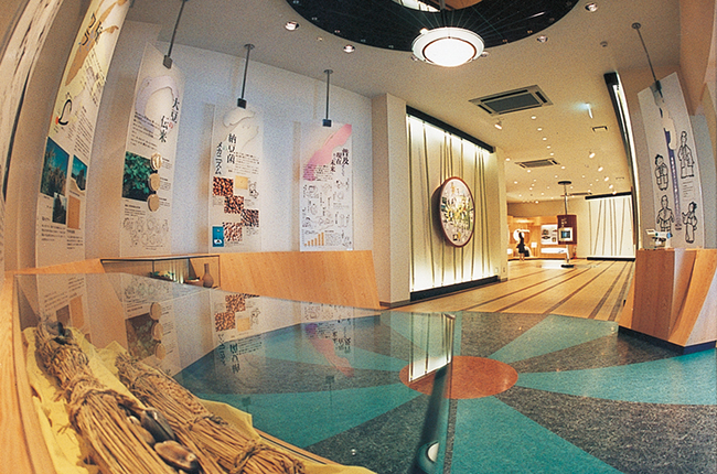 納豆博物館内部照片(圖\タカノフーズ官網)