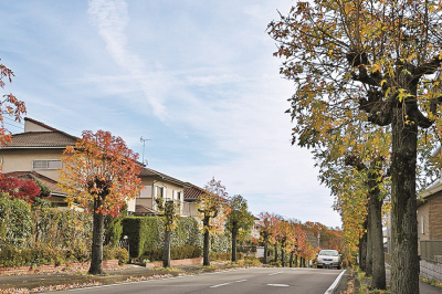 鳩山町街景(圖\鳩山町官網)