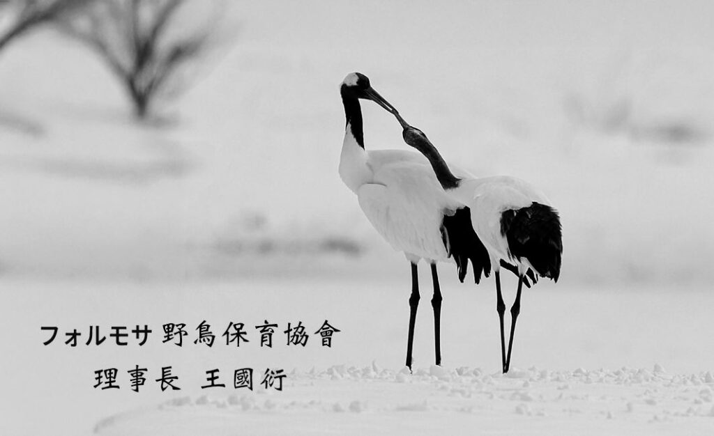 王國衍理事長攝影作品