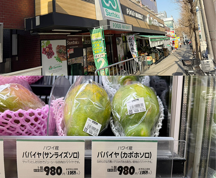 文京區白山的魔幻消費圖譜　學區房、新移住家庭與一顆木瓜的價差